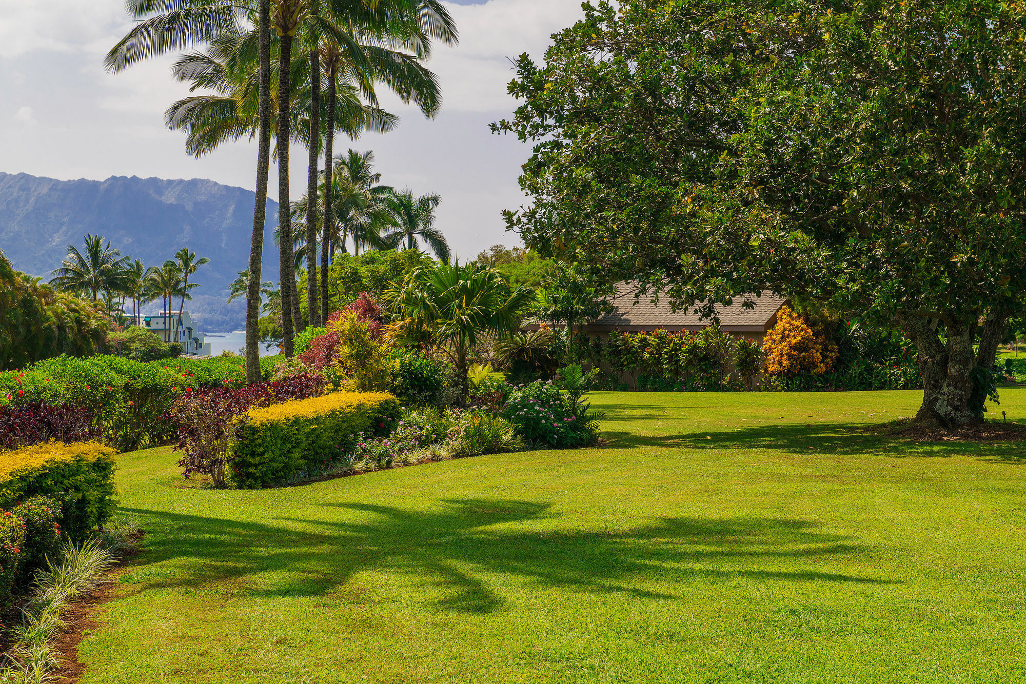 Princeville Oceanfront Villas Kauai Εξωτερικό φωτογραφία